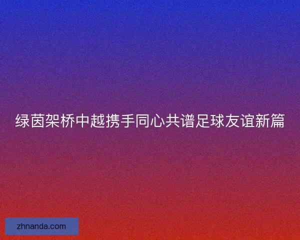绿茵架桥中越携手同心共谱足球友谊新篇